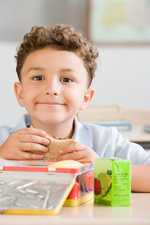 【幼稚園のお弁当箱】おすすめ9選と選び方。大きさは？アルミとプラスチックはどっちがいい？ のタイトル画像